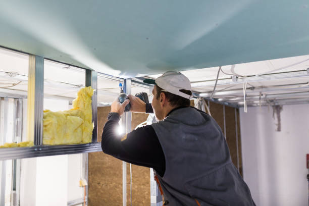 Best Geographic-Specific Insulation Services in Boyes Hot Springs, CA