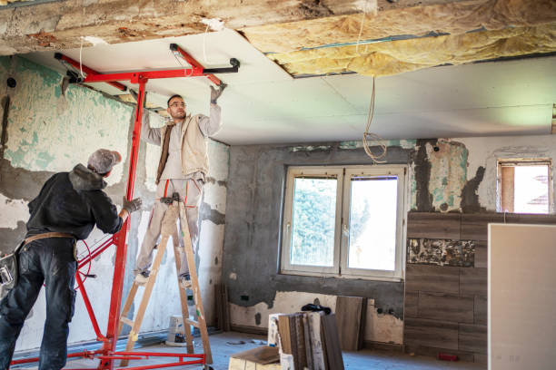Best Cellulose Insulation in Boyes Hot Springs, CA
